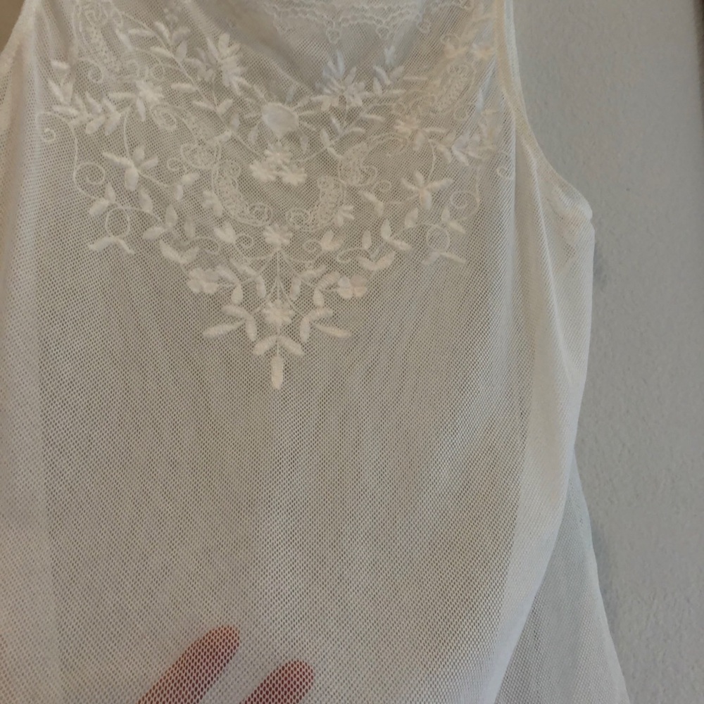 Translucent beige top